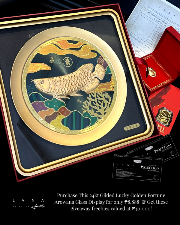 #LVNAPP | 24kt Gilded Lucky Golden Fortune Arowana Glass Display w  FREE LVNA 24kt Golden Boat + ₱20,000 worth of LVNA Gift Certificates For Sale