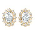 Aster Oval Regal Halo Earrings Online